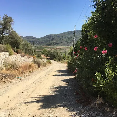 Hébergement de vacances Bouganvillea *