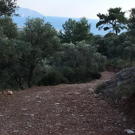 Hébergement de vacances Bouganvillea *