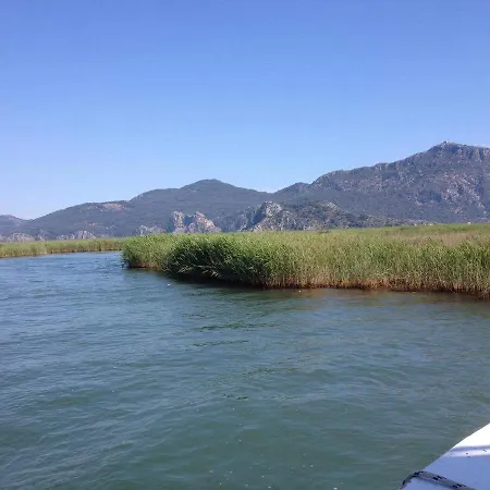 Hébergement de vacances Bouganvillea *