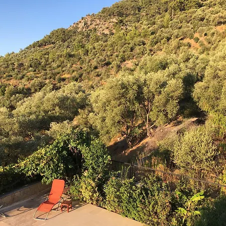 Feriehus Bouganvillea *